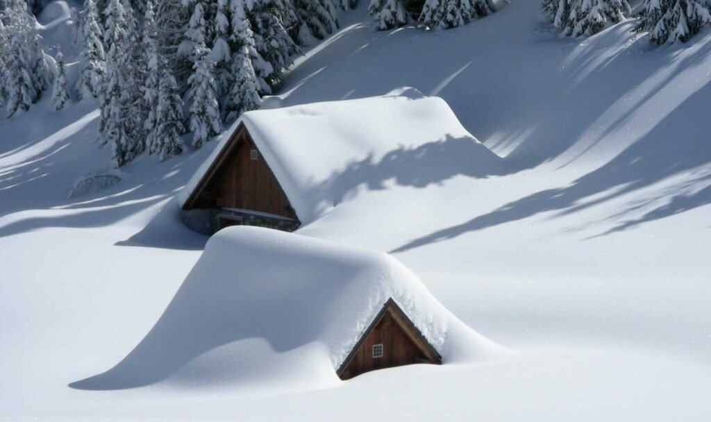 Pexels Pixabay 45204 1024x608